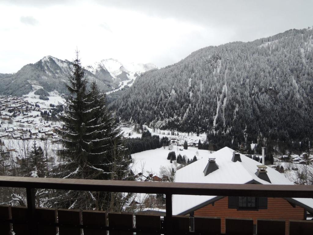 Appartement 4 pers avec balcon et parking à Châtel - FR-1-198-98 - 3