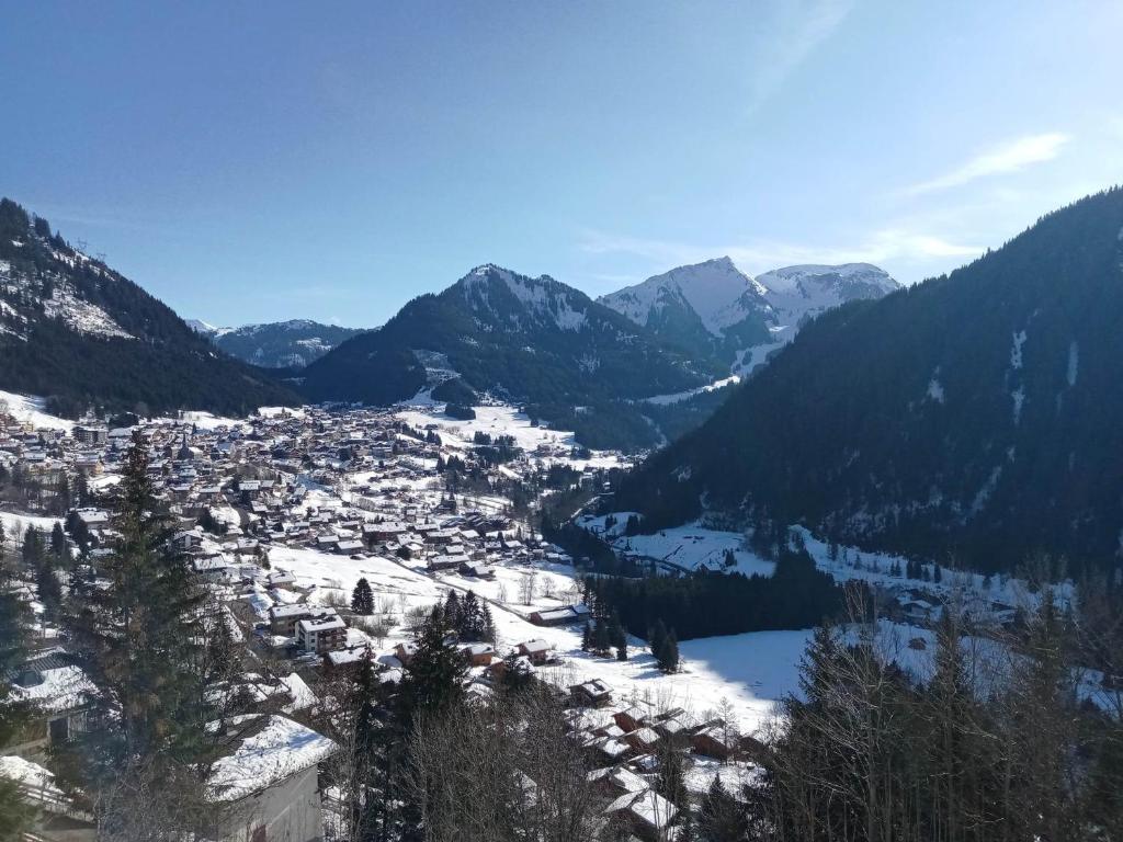 Appartement 6 pers à Châtel avec Parking et Wifi - FR-1-198-162 - 5