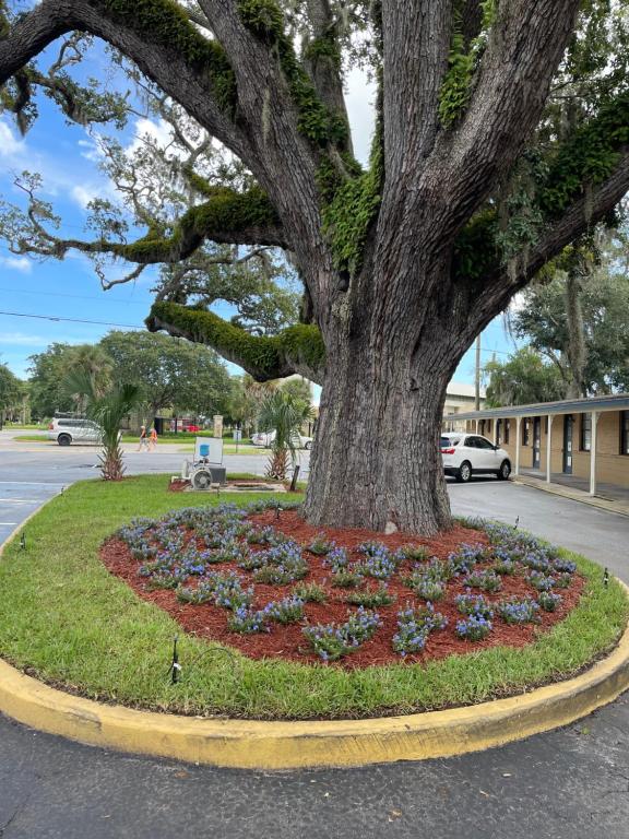 Castillo Inn — Hotel in St. Augustine (FL)