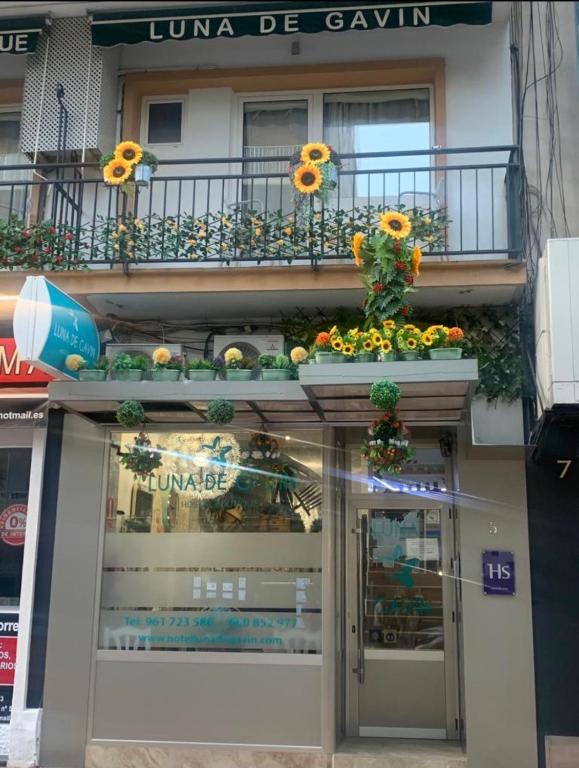 Hostal Boutique Luna de Gavín - 5