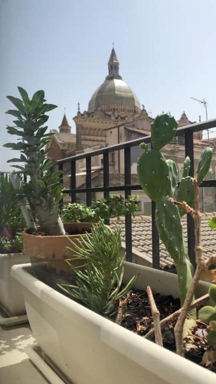 Guest house Regina Margherita photo