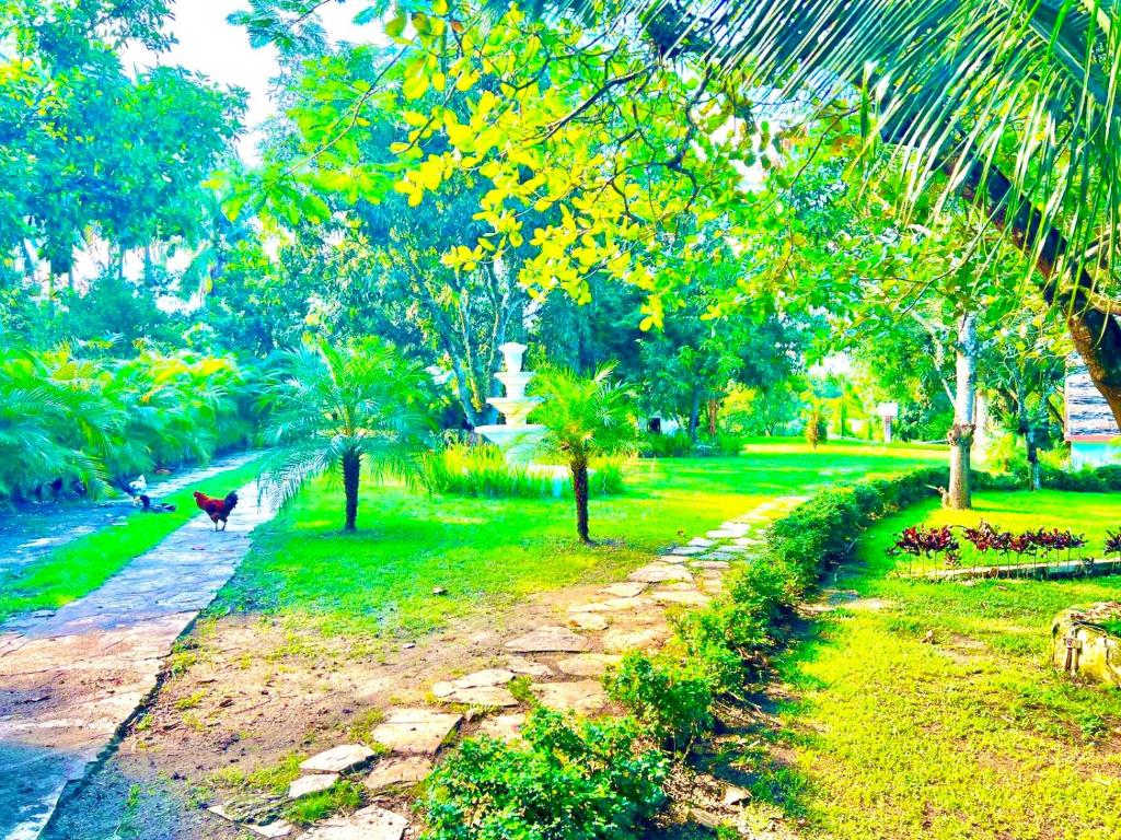 villa rosa photo