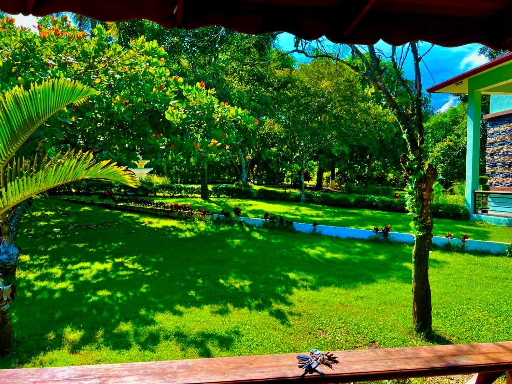 villa rosa photo