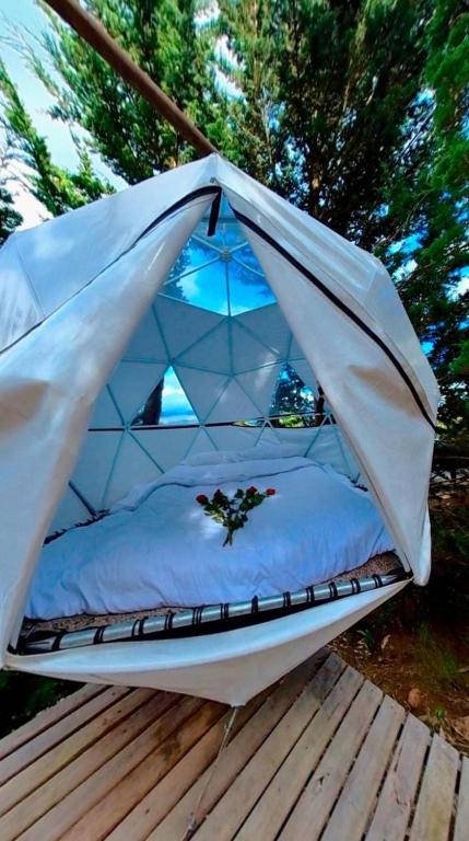 Glamping El Edén Guasca Cundinamarca - 3