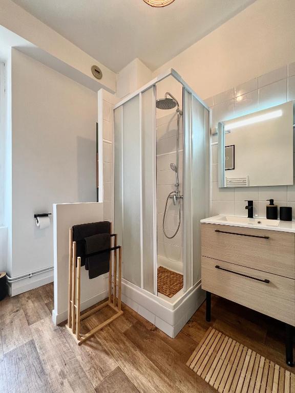 Bel appartement proche gare, centre ville d'Angers - 5
