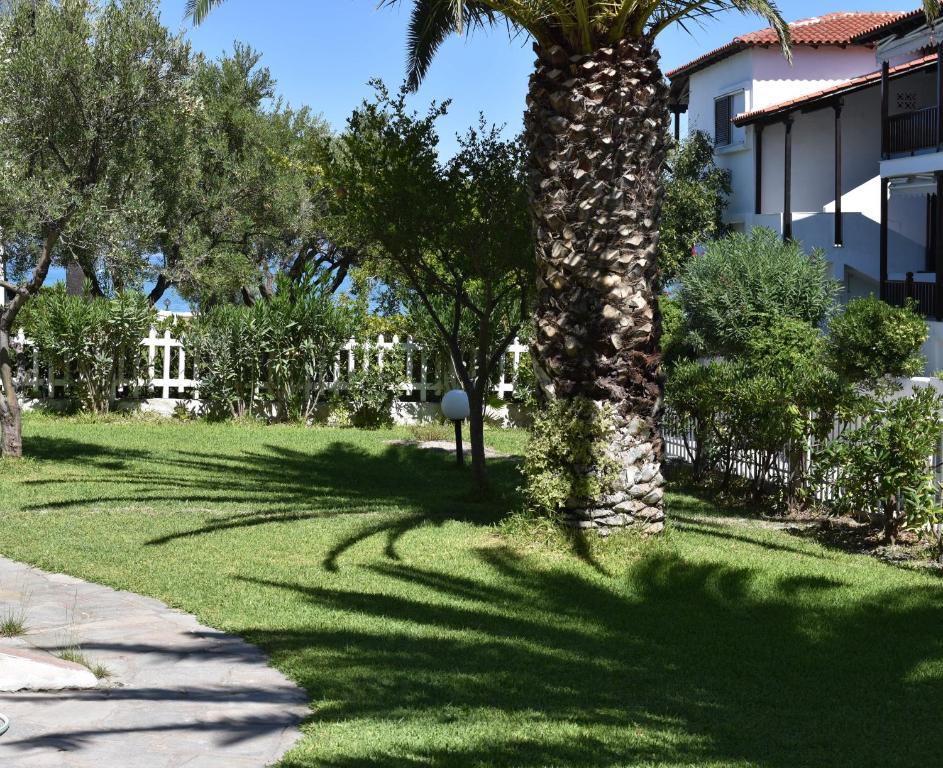 Maria's Apartment, Pefkochori