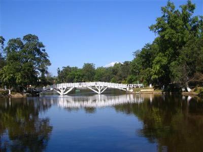 Surrounding environment