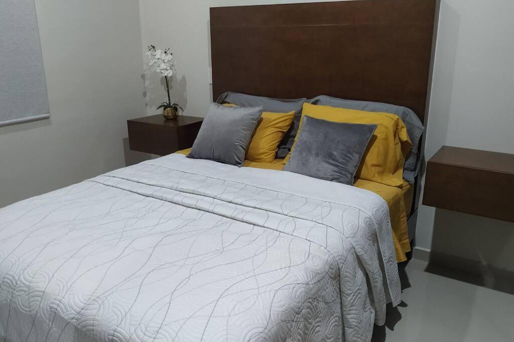 Departamentos Celia en Zona Dorada - 3