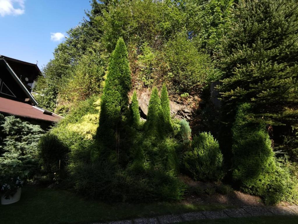 Haus am Bach - 5
