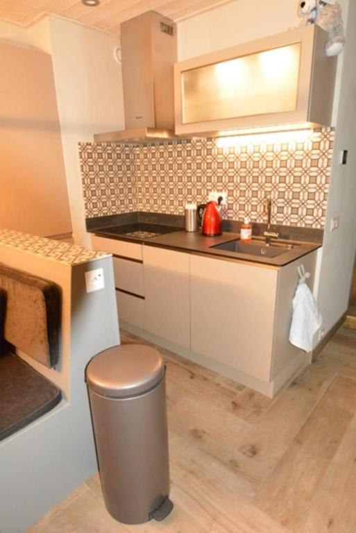 L'Aubepine 2 6-8 personnes au pied des pistes - 5