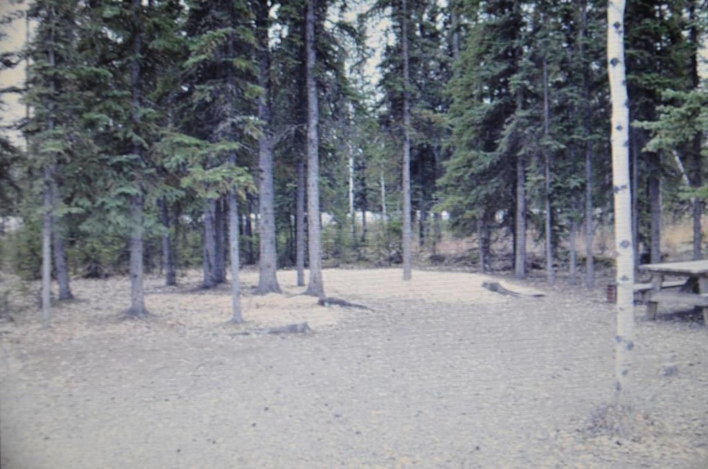 Tok RV Village and Cabins photo