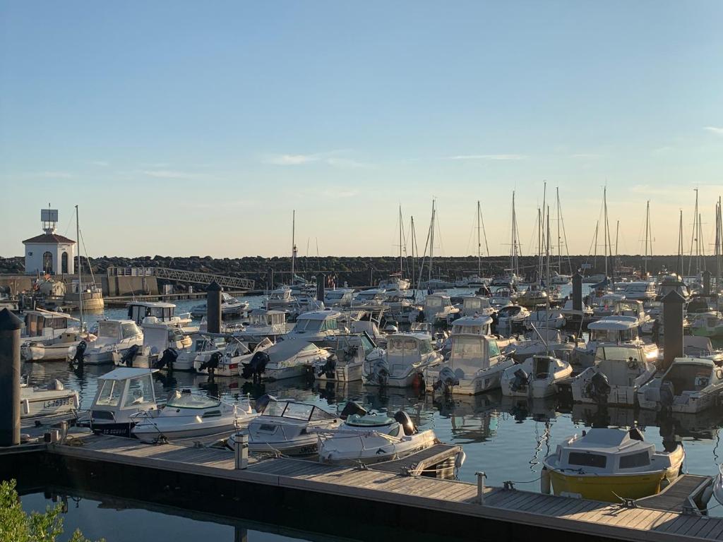 Vue mer, superbe appartement avec terrasse!, Talmont