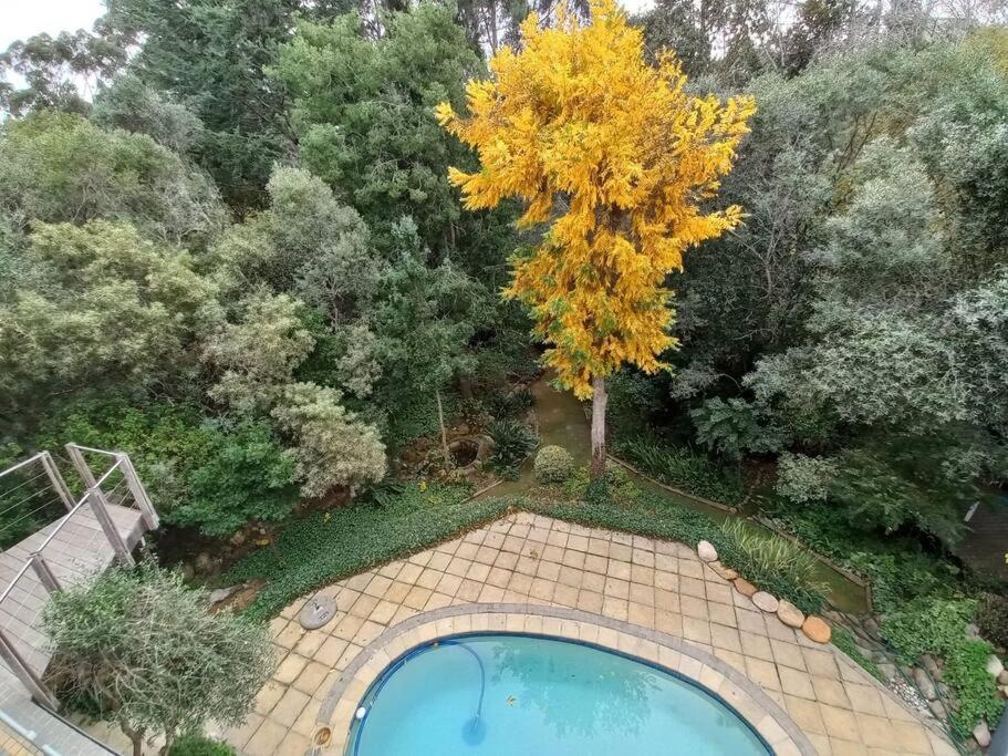 Pecan Tree Forest Studio B, Stellenbosch