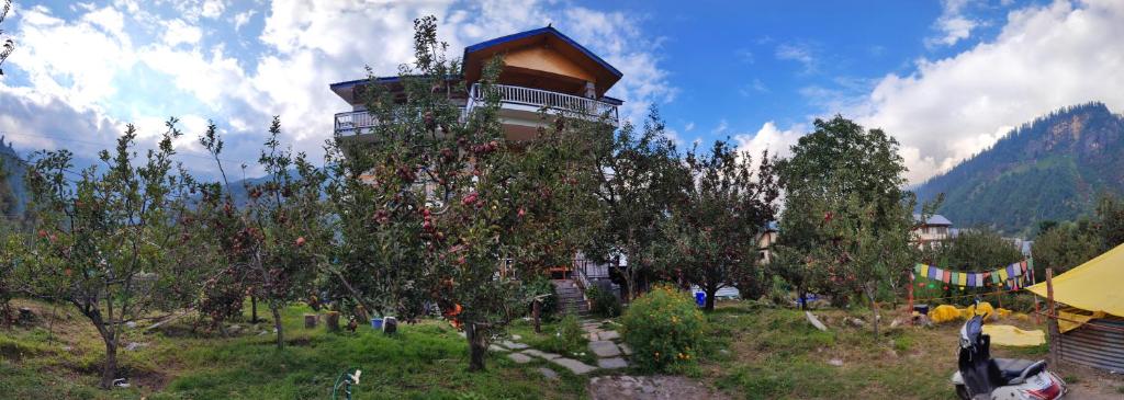 Apple Farm Homestay photo