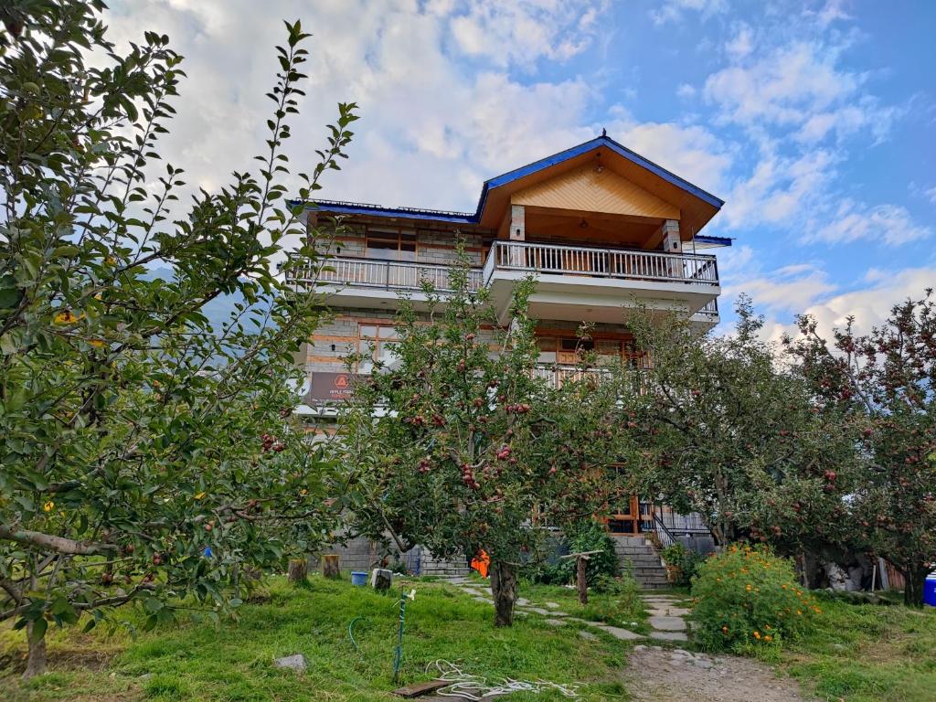 Apple Farm Homestay — Hotel in Manali