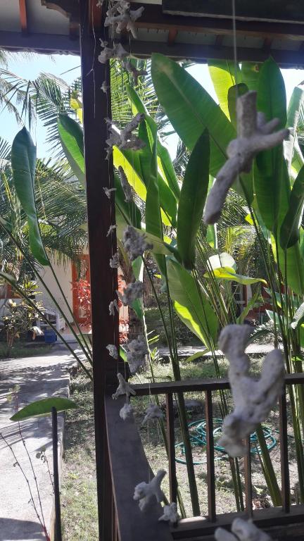 Yo.land Guesthouse photo