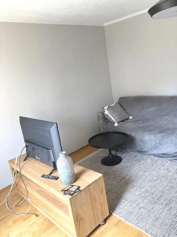 Furnished flat in Offenbach with all comfort