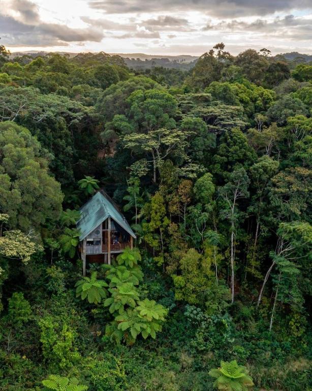 Rose Gums Wilderness Retreat photo