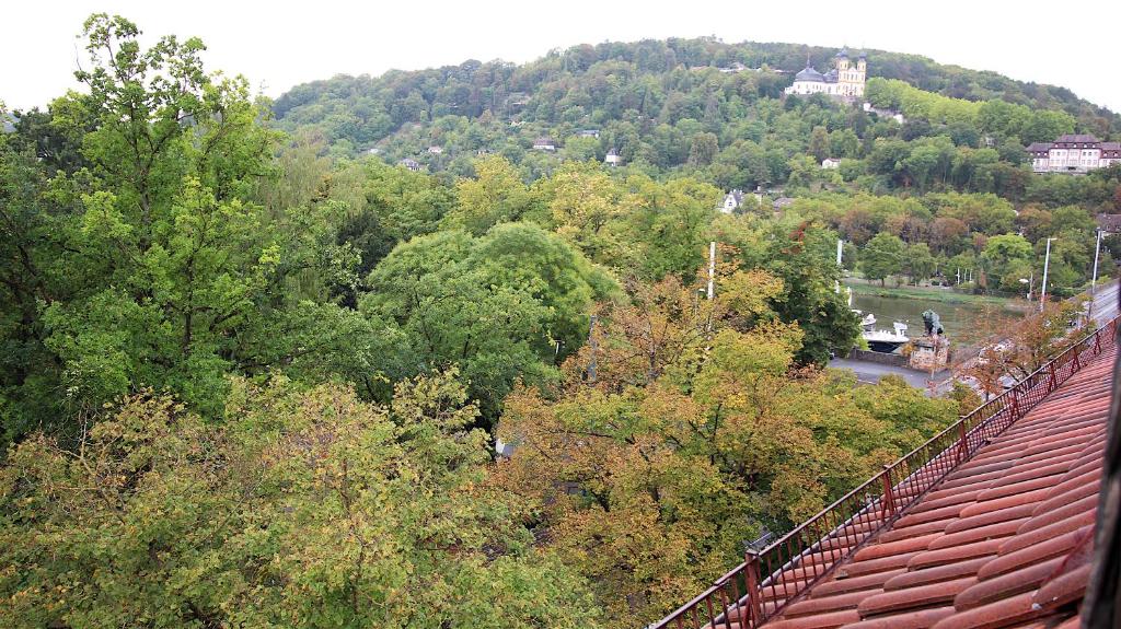 Zentrale Stadtwohnung - direkt am Main, Park-Ausblick - 2