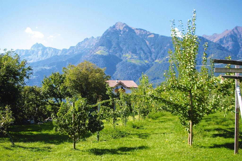 Apartment in Dorf Tirol near Spronser Lakes - 4
