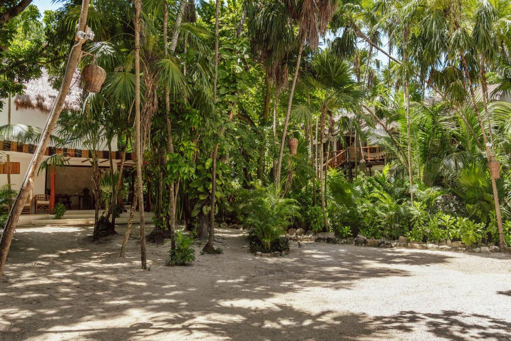 Dos Ceibas Tulum Feel Good Hotel photo
