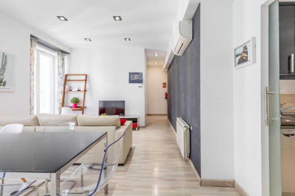 Spacious flat puerta del sol - 2