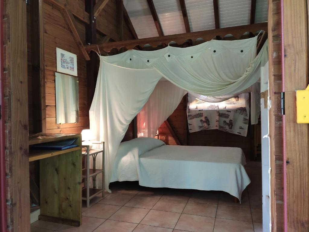 Ti Racoon en Guadeloupe, Bouillante