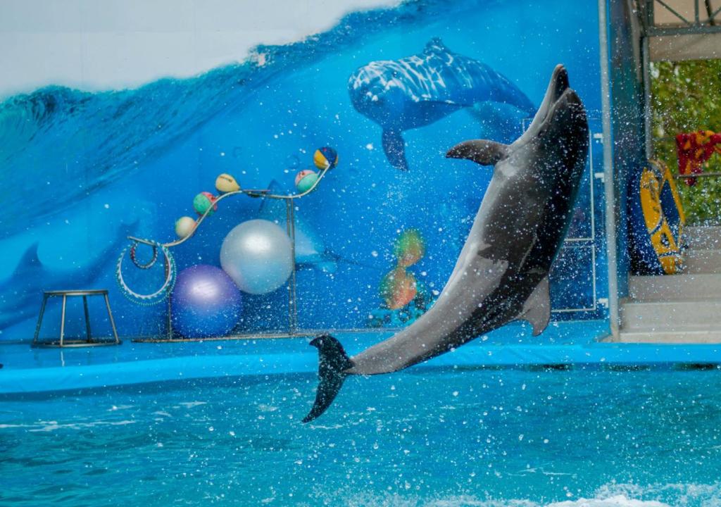 Nearby attraction