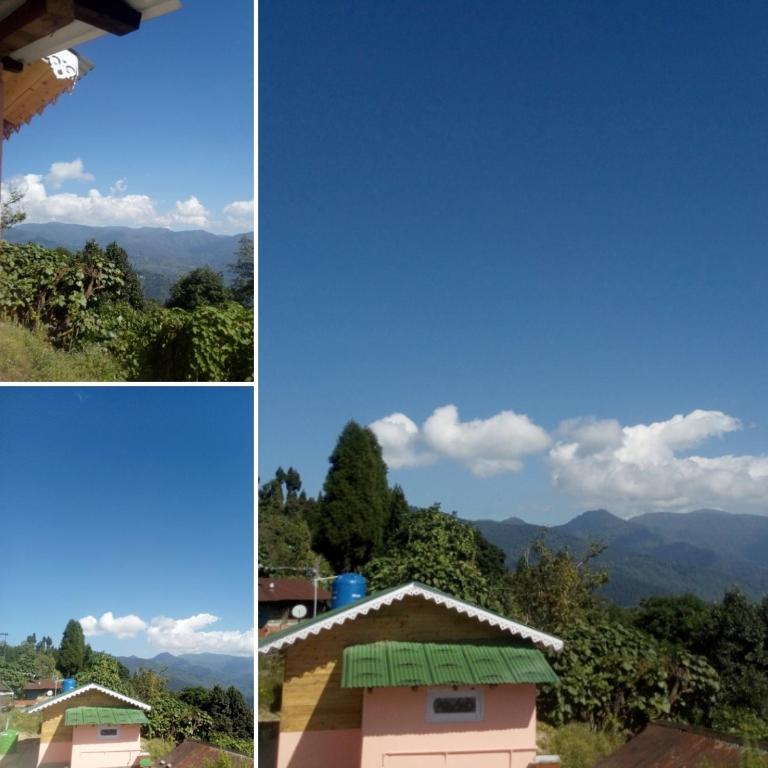 Januki wooden homestay — Hotel in Lava