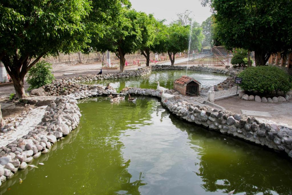 Surrounding environment