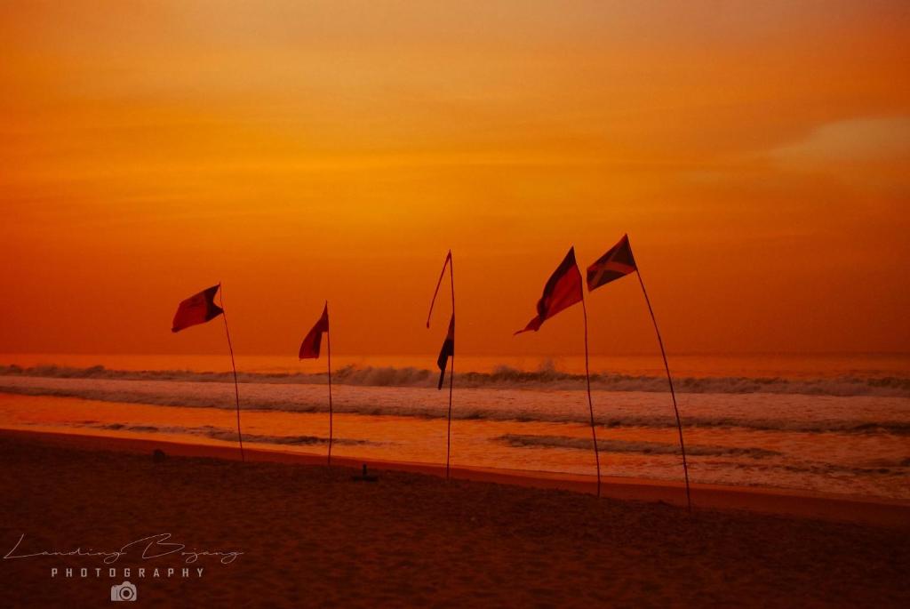 Surrounding environment