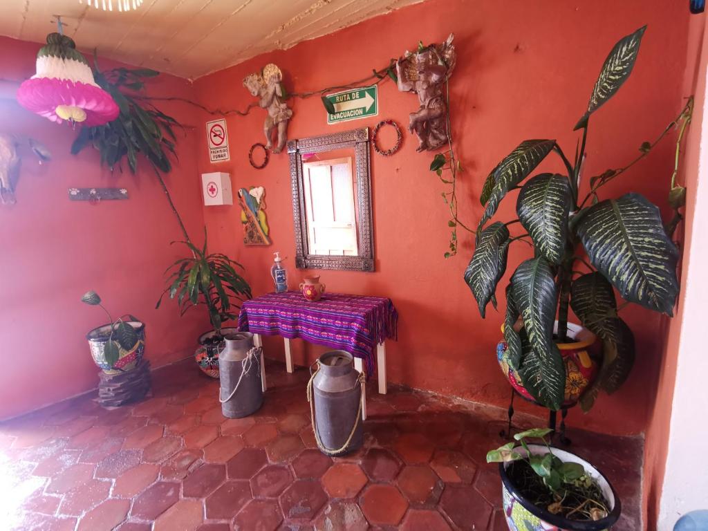 La Casa del Abuelo photo