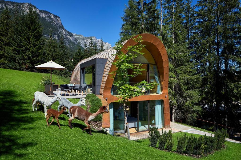 Mi Chalet - 2