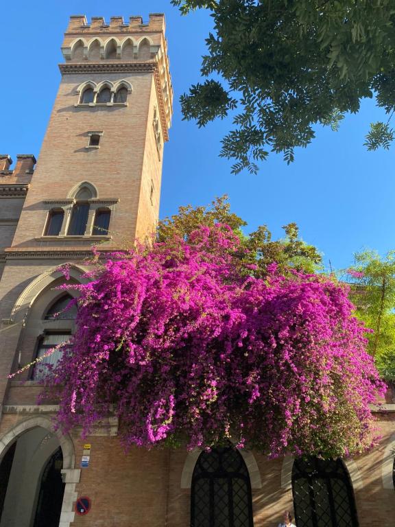 An Indian Bollywood Sevilla Experience - for families, couples & business trips - 3