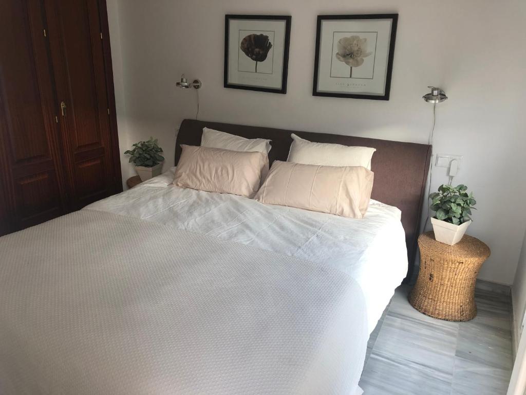 Casa los Olivos - 4