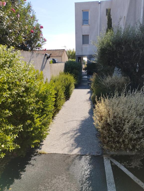 Appartement F3 en bordure de l étang de thau - 3