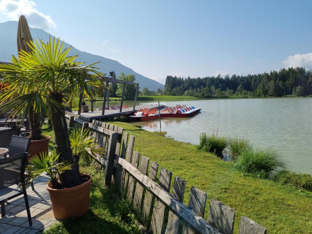 Wohlfühl-Appartement Bergsee FAMILY - am Wildsee - SUP und Schlitten for free - 3