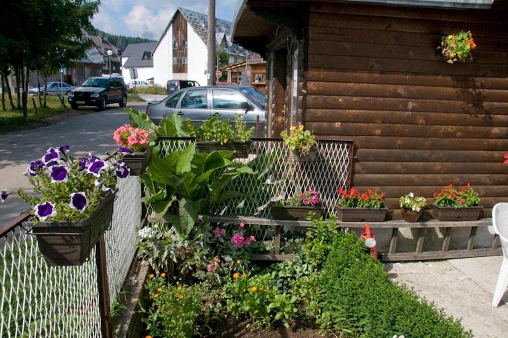 Apartment Aleksić - 4