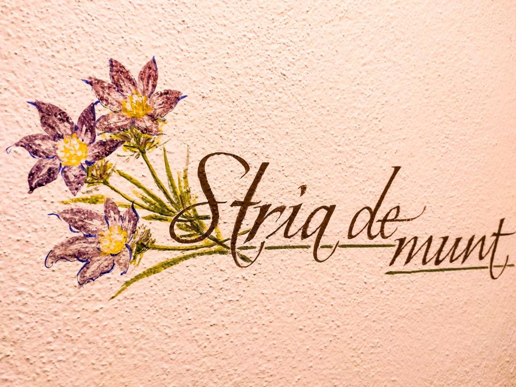 Agriturismo Anvi photo