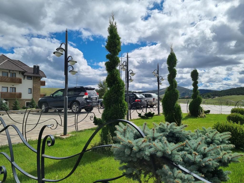 Zlatibor Hills PRESIDENT - 3