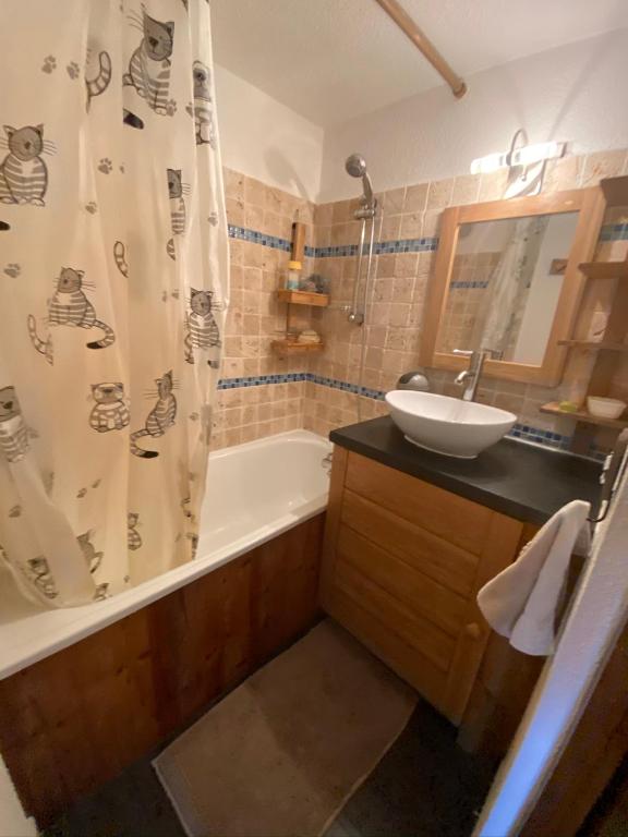 Appartement face Mont Blanc - 2