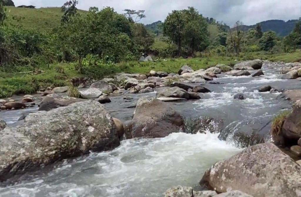 Emilio Patiño Corrales Rentals in Pereira (Colombia)