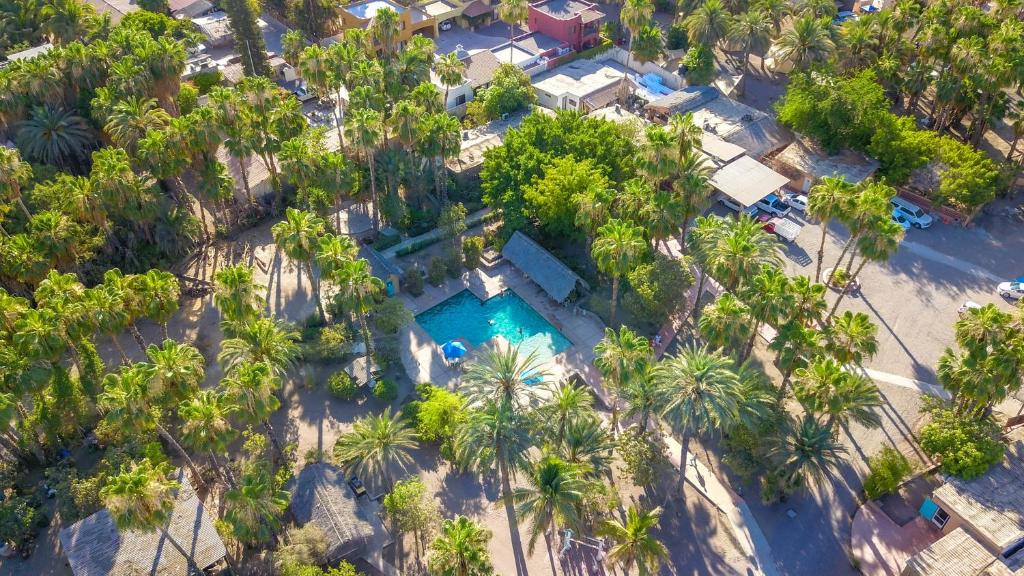 Hotel Oasis photo