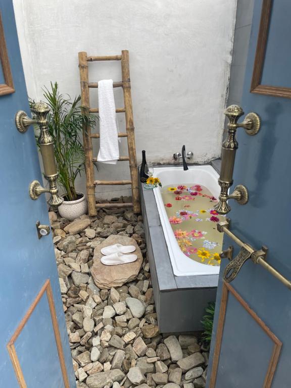 The Hulya , Darima — Hotel in Mukteshwar