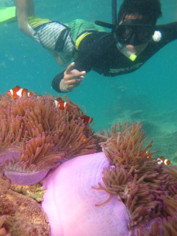 Sports and activities