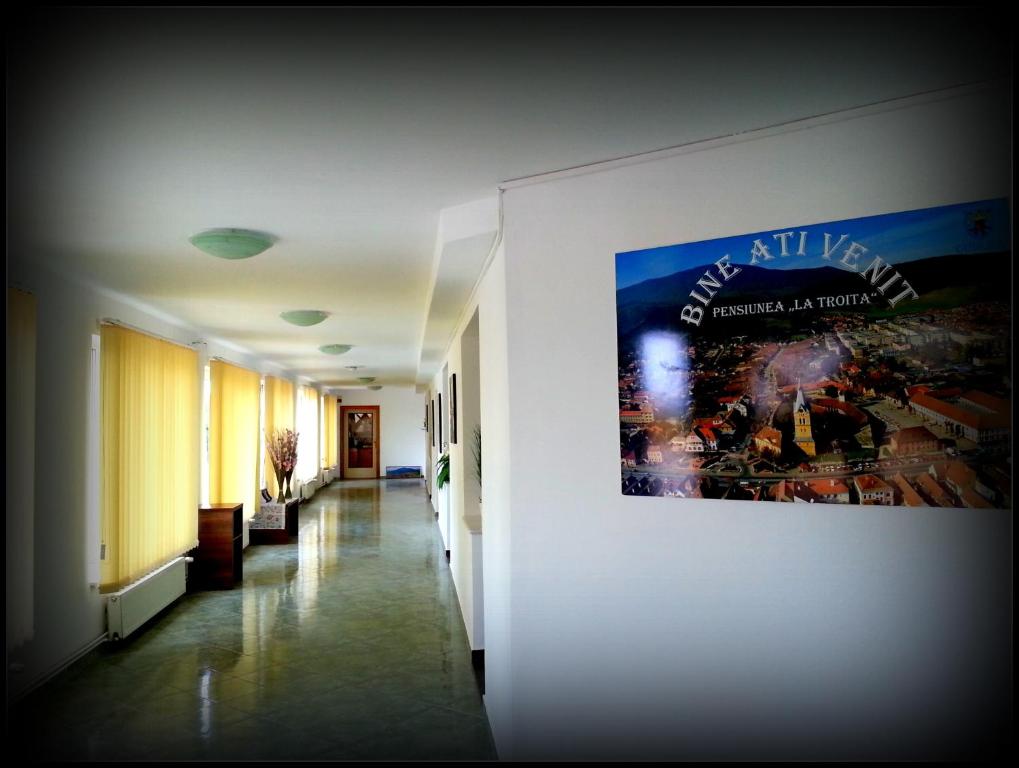 Cazare La Troita photo
