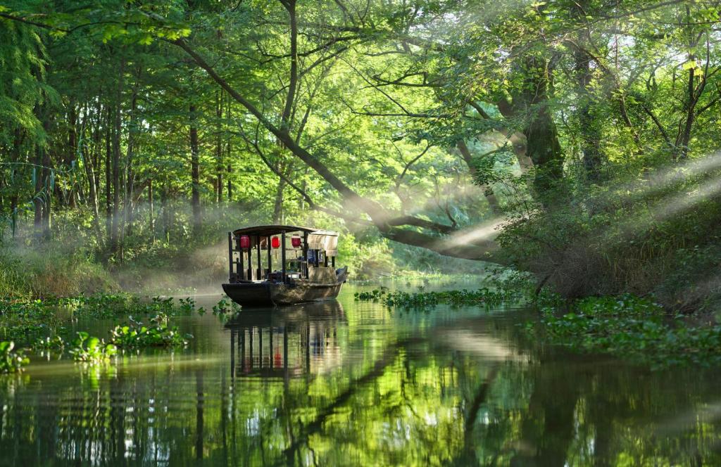Surrounding environment