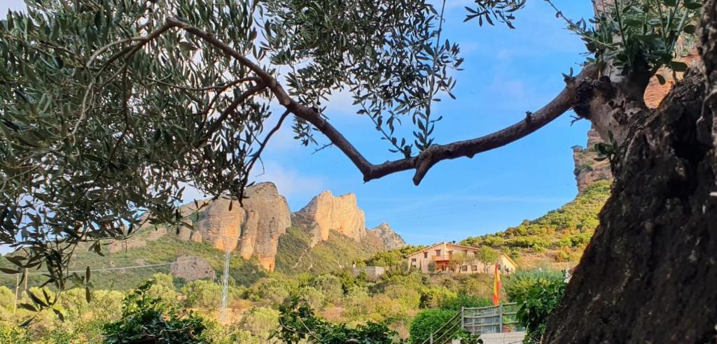villa Garibaldi photo