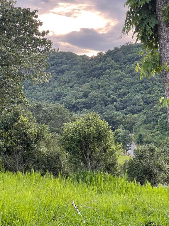 Surrounding environment