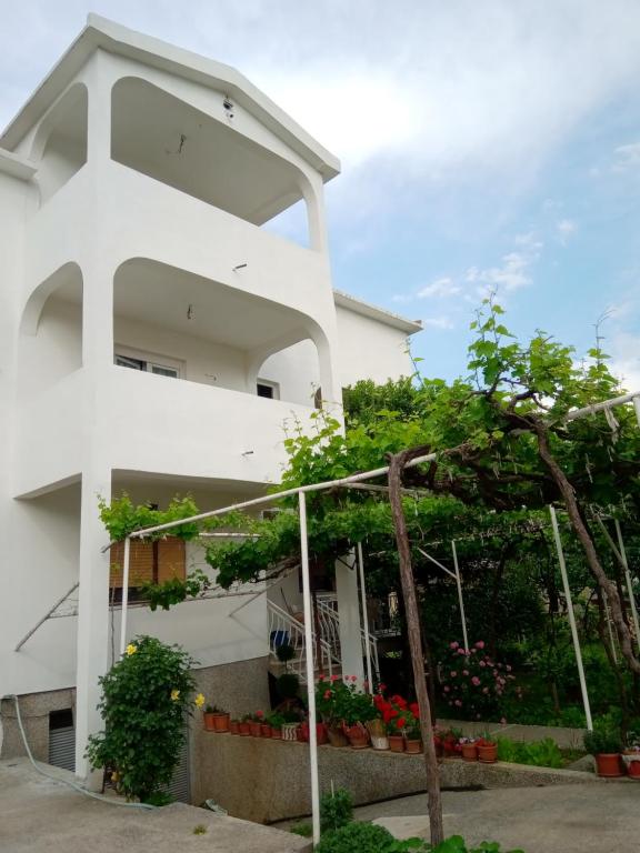 Hostel Olea - 5